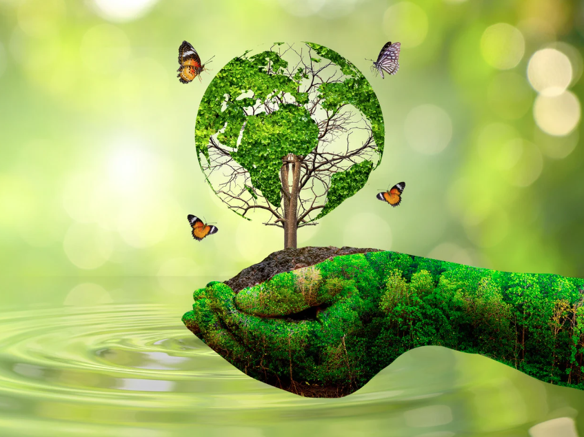 environment ppf